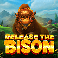 Release the Bison game cover
